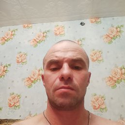 ����, 41 ���, ���