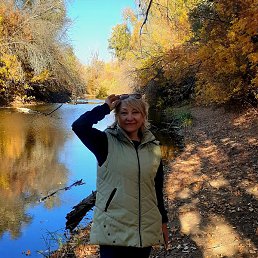 �������, ��������, 63 ����