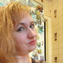 �����, ������ �����, 49 ���