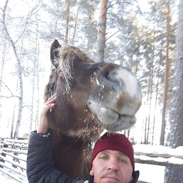 , 36, 