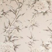 ������, 42 ����, ������������