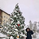���� ������, �������������-���������� - ��������� 31 ������� 2025 � ������ ���� ����������