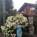 ���� ����, �����������, 56 ��� - ��������� 25 ������ 2026 � ������ ���� ����������