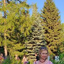 ���� �����, ���� - ��������� 11 ������� 2026 � ������ ������