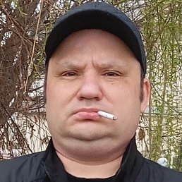 ������, �������, 41 ���