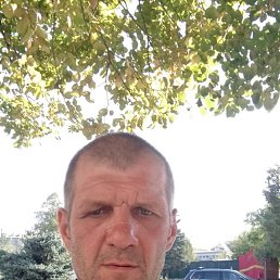 , 41, 