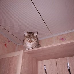 ����, �����, 18 ���