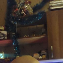 ���� ����, ���������, 32 ���� - ��������� 2 ������� 2026