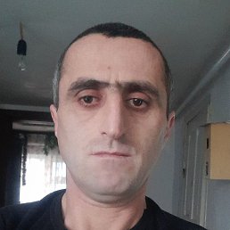 ������, ���������, 41 ���