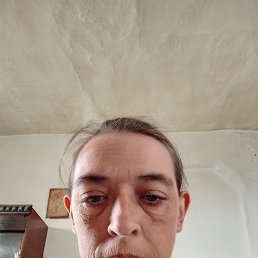 ���� ������, ������, 37 ��� - ��������� 12 ������ 2026