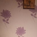 ���� ������, �����, 41 ��� - ��������� 6 ������� 2024 � ������ ���� ����������