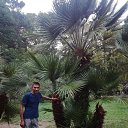 ���� �������, ��������, 52 ���� - ��������� 25 ���� 2026 � ������ ���� ����������