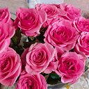 ���� ������, ���������, 47 ��� - ��������� 9 ������� 2025 � ������ ���� ����������