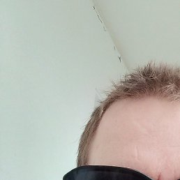 ������, ������, 46 ���