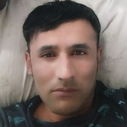 ���, ������������, 41 ���