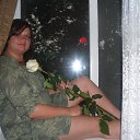 ���� ������, ������, 41 ��� - ��������� 13 ������� 2026 � ������ ���� ����������