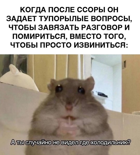    - 19  2025  21:05