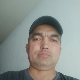 , 43, 