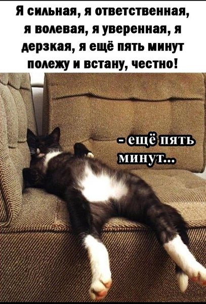 ***Victoria Viktorovna*** - 11  2024  04:46