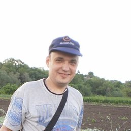 ��������, �������, 41 ���