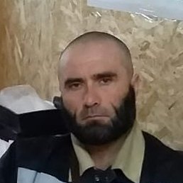 �����, ����, 44 ����