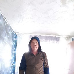 , 41, 