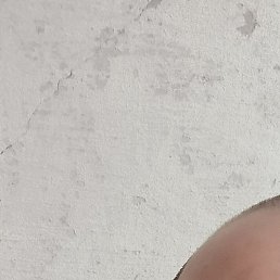 ������, ����������, 59 ���