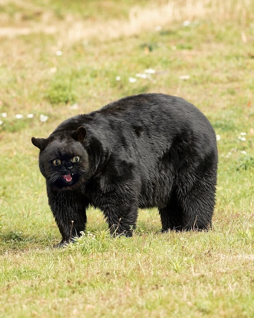 �����������, ���� �������� ������� ������� � ���� ������ � ��������� ������ - 7