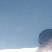 �������, 29 ���, �����