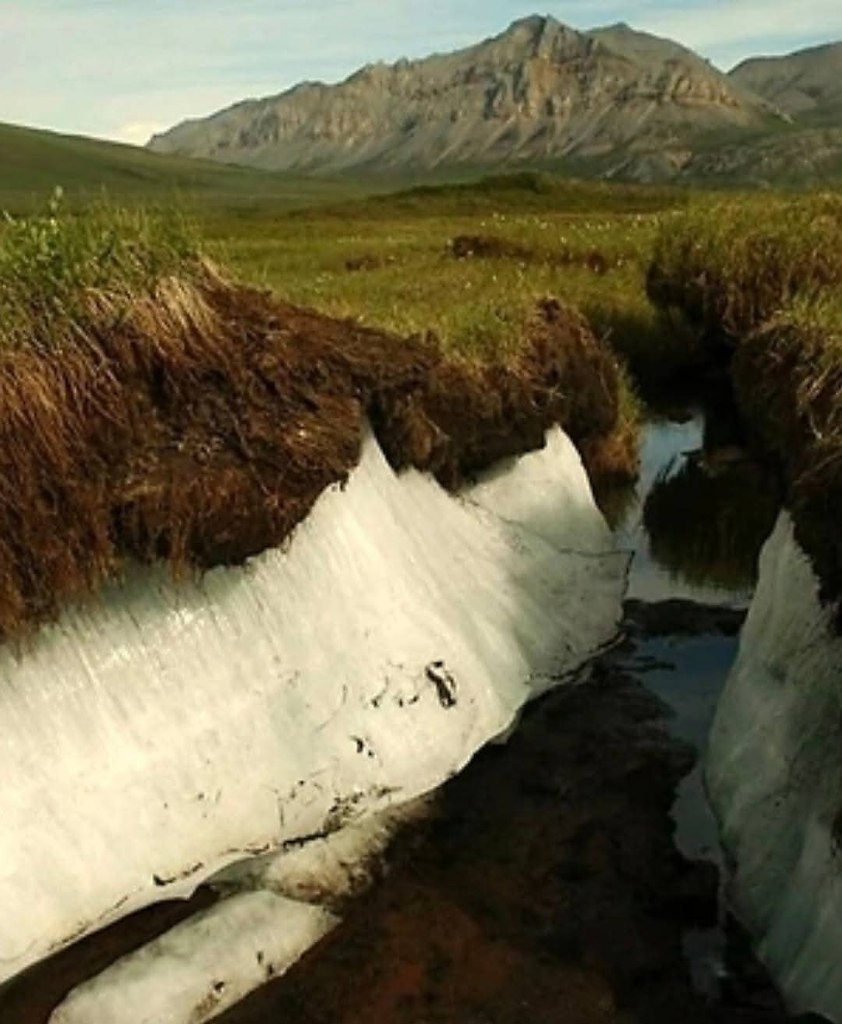 :)   ""   .       ...