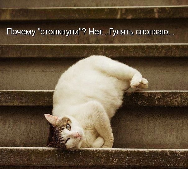    - 9  2024  00:27