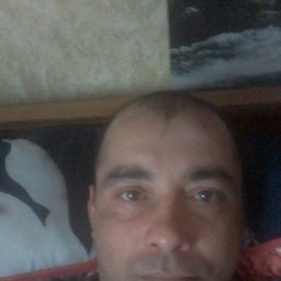  Damir, , 38  -  5  2025