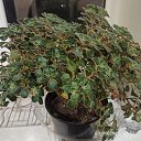 ���� �����, ������ �������� - ��������� 13 ���� 2026 � ������ ������