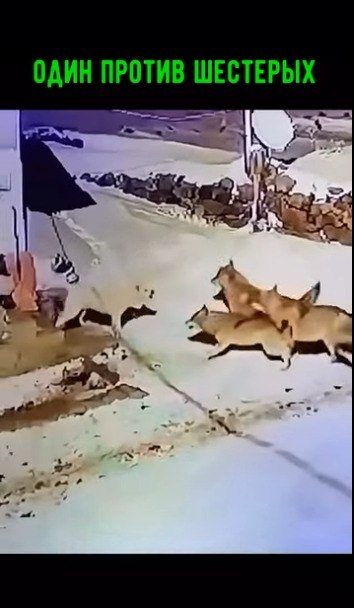 ���� � ���� ����!