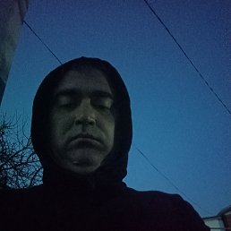 , 41, 