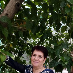 ���� ������� ���������, �����, 79 ��� - ��������� 31 ������ 2024