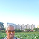 ���� �������, �����������, 57 ��� - ��������� 2 �������� 2025 � ������ ���� ����������