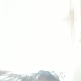 ������, ������, 46 ���