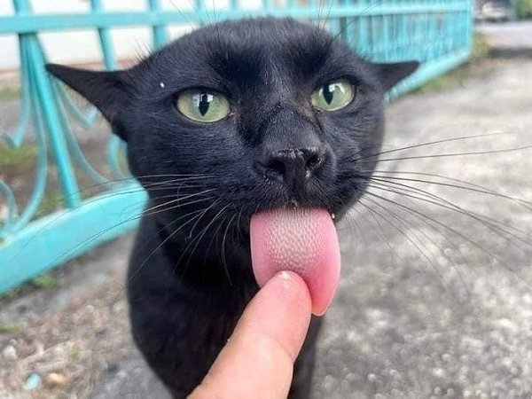 ��� ������... � ���� ����� - 5