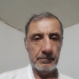 , 65, 