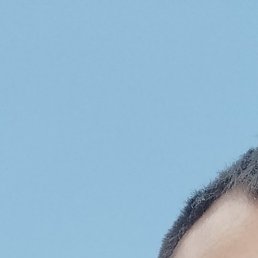 ������, �������, 38 ���