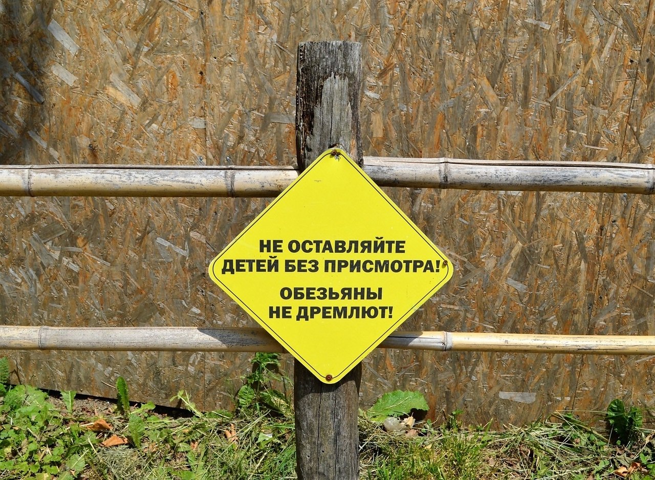    - 10