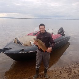 ����, 53 ����, �����������