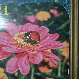 ���� �����, �����, 64 ���� - ��������� 24 ������ 2023