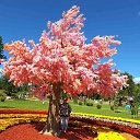 ���� �����, ������-���� - ��������� 6 ���� 2025 � ������ ���� ����������