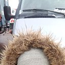 ���� �����, �����������, 44 ���� - ��������� 14 ������� 2026 � ������ ���� ����������