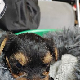 ����������, ������, 42 ����