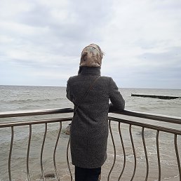 ���� ��������, ���������� �����, 58 ��� - ��������� 22 ��� 2024