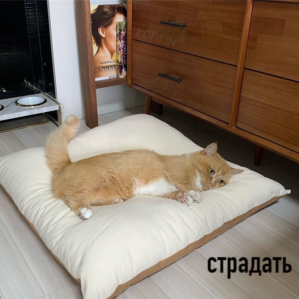 � ��������� ����� � ���� ������ ������ ��� 5 �����: - 4