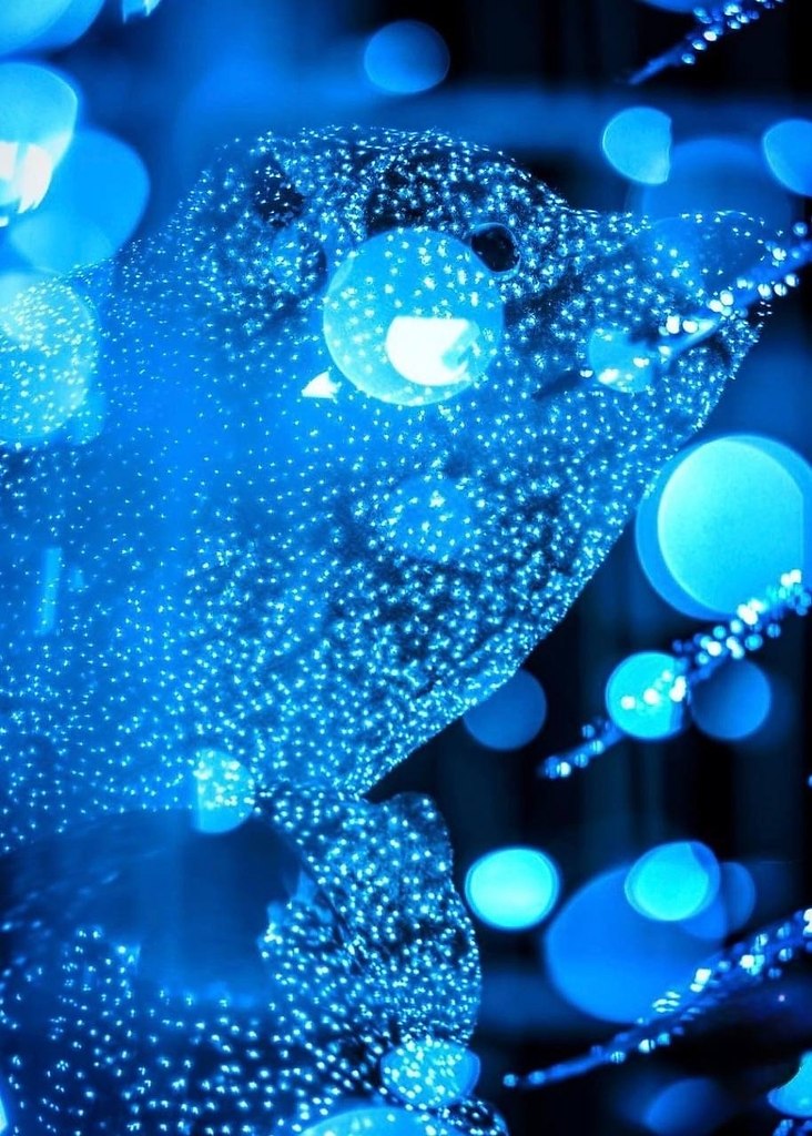 ���� �������� �� ���������� �������� ����������.����� � ������������ ��������� ���������� ���������� ... - 4